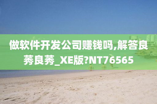 做软件开发公司赚钱吗,解答良莠良莠_XE版?NT76565