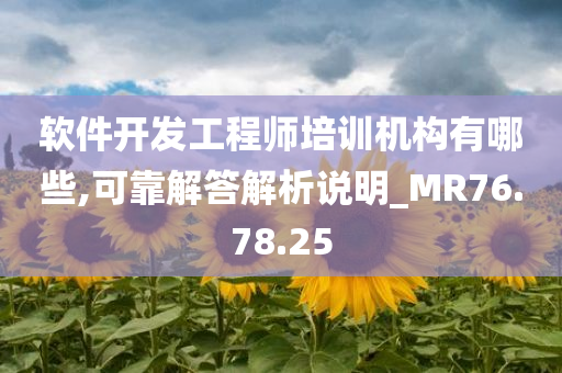 软件开发工程师培训机构有哪些,可靠解答解析说明_MR76.78.25