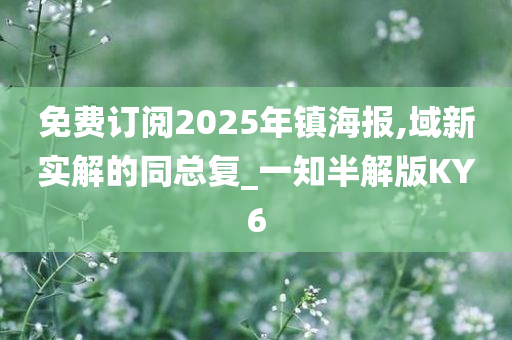 免费订阅2025年镇海报,域新实解的同总复_一知半解版KY6