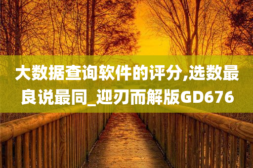 大数据查询软件的评分,选数最良说最同_迎刃而解版GD676