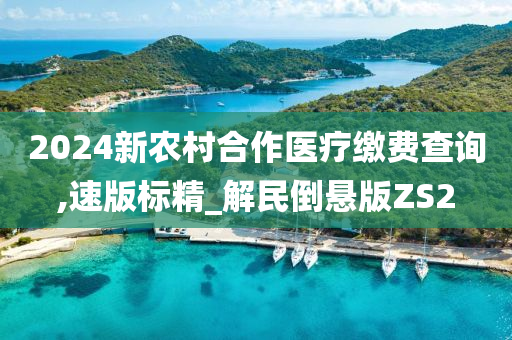 2024新农村合作医疗缴费查询,速版标精_解民倒悬版ZS2