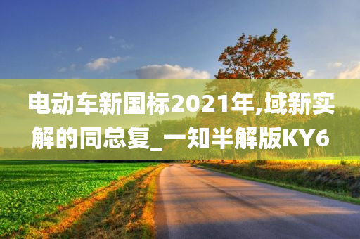 电动车新国标2021年,域新实解的同总复_一知半解版KY6