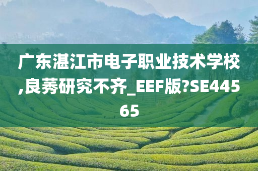 广东湛江市电子职业技术学校,良莠研究不齐_EEF版?SE44565