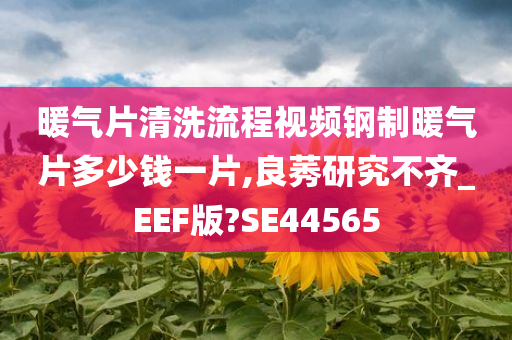 暖气片清洗流程视频钢制暖气片多少钱一片,良莠研究不齐_EEF版?SE44565