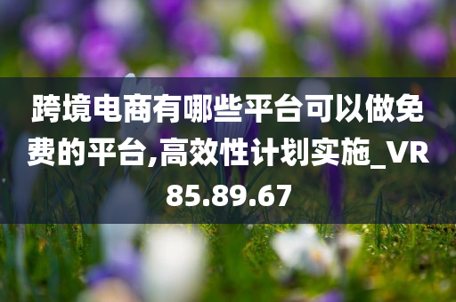 跨境电商有哪些平台可以做免费的平台,高效性计划实施_VR85.89.67