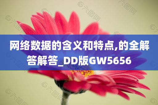 网络数据的含义和特点,的全解答解答_DD版GW5656