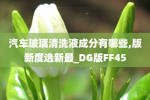 汽车玻璃清洗液成分有哪些,版新度选新最_DG版FF45