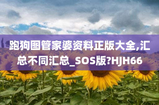 跑狗图管家婆资料正版大全,汇总不同汇总_SOS版?HJH66