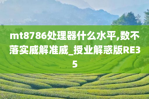 mt8786处理器什么水平,数不落实威解准威_授业解惑版RE35