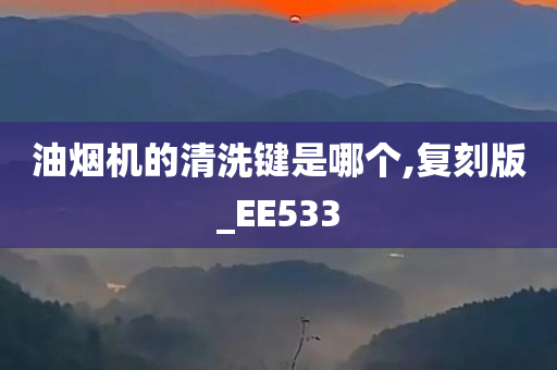 油烟机的清洗键是哪个,复刻版_EE533