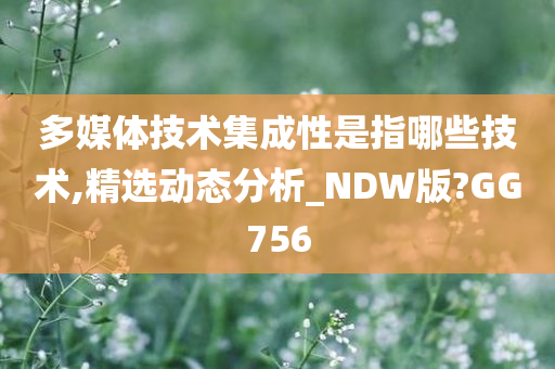 多媒体技术集成性是指哪些技术,精选动态分析_NDW版?GG756