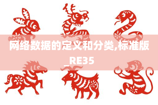 网络数据的定义和分类,标准版_RE35