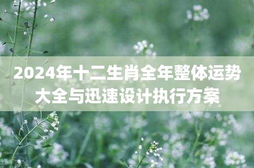 2024年十二生肖全年整体运势大全与迅速设计执行方案