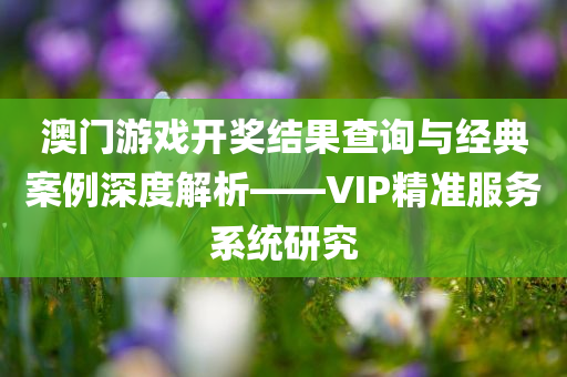 澳门游戏开奖结果查询与经典案例深度解析——VIP精准服务系统研究