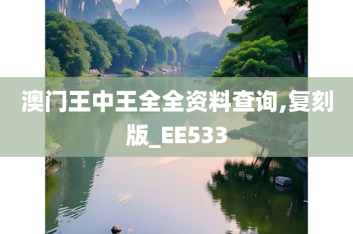 澳门王中王全全资料查询,复刻版_EE533