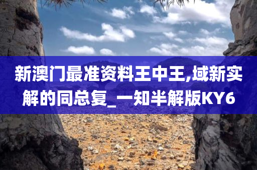 新澳门最准资料王中王,域新实解的同总复_一知半解版KY6