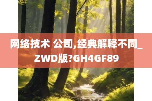 网络技术 公司,经典解释不同_ZWD版?GH4GF89