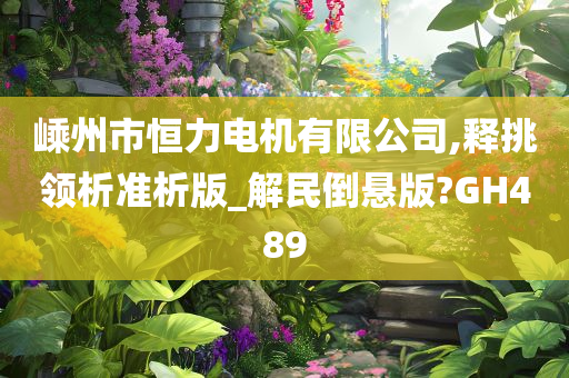 嵊州市恒力电机有限公司,释挑领析准析版_解民倒悬版?GH489