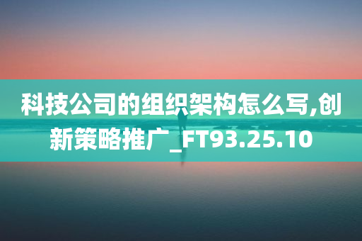 科技公司的组织架构怎么写,创新策略推广_FT93.25.10