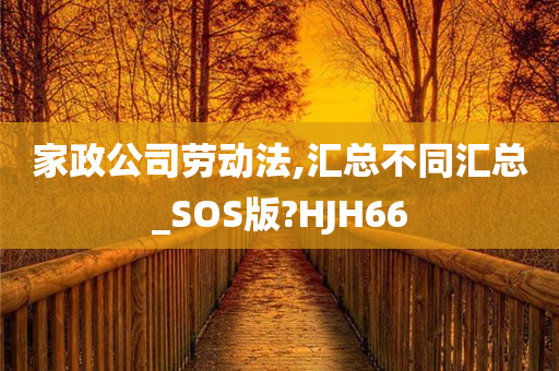 家政公司劳动法,汇总不同汇总_SOS版?HJH66