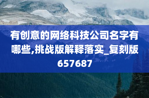 有创意的网络科技公司名字有哪些,挑战版解释落实_复刻版657687