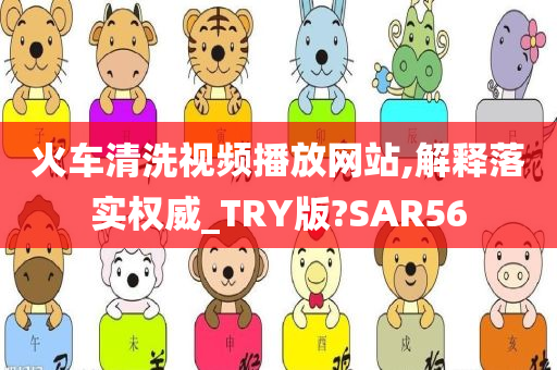 火车清洗视频播放网站,解释落实权威_TRY版?SAR56