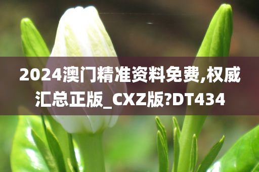 2024澳门精准资料免费,权威汇总正版_CXZ版?DT434