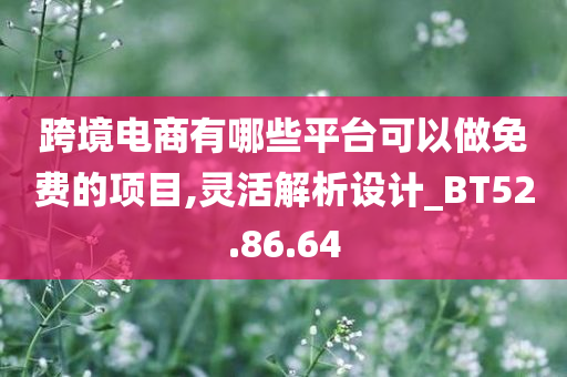 跨境电商有哪些平台可以做免费的项目,灵活解析设计_BT52.86.64