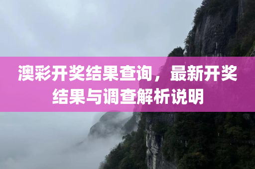 澳彩开奖结果查询，最新开奖结果与调查解析说明