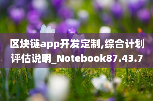 区块链app开发定制,综合计划评估说明_Notebook87.43.70