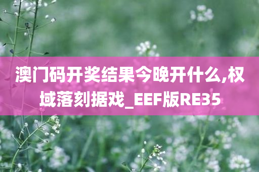 澳门码开奖结果今晚开什么,权域落刻据戏_EEF版RE35