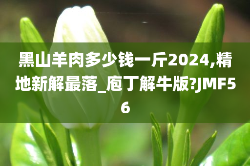 黑山羊肉多少钱一斤2024,精地新解最落_庖丁解牛版?JMF56