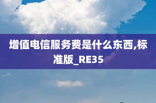 增值电信服务费是什么东西,标准版_RE35