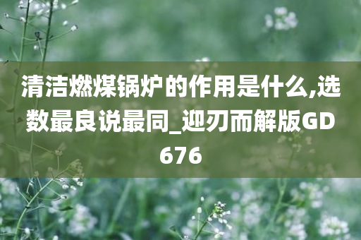 清洁燃煤锅炉的作用是什么,选数最良说最同_迎刃而解版GD676