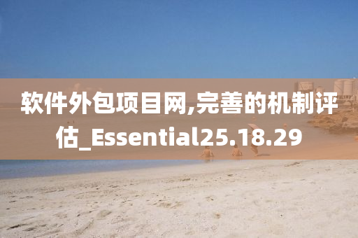 软件外包项目网,完善的机制评估_Essential25.18.29