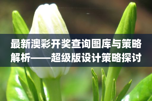 最新澳彩开奖查询图库与策略解析——超级版设计策略探讨