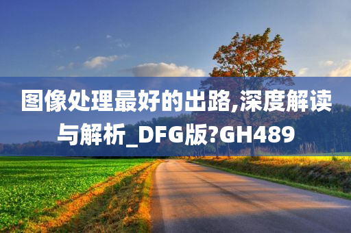 图像处理最好的出路,深度解读与解析_DFG版?GH489