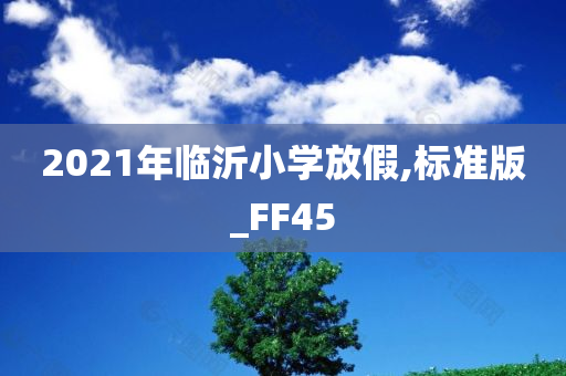 2021年临沂小学放假,标准版_FF45