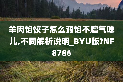 羊肉馅饺子怎么调馅不膻气味儿,不同解析说明_BYU版?NF8786