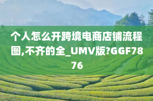 个人怎么开跨境电商店铺流程图,不齐的全_UMV版?GGF7876