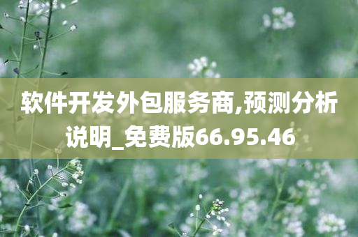 软件开发外包服务商,预测分析说明_免费版66.95.46