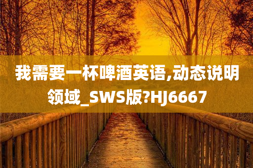 我需要一杯啤酒英语,动态说明领域_SWS版?HJ6667