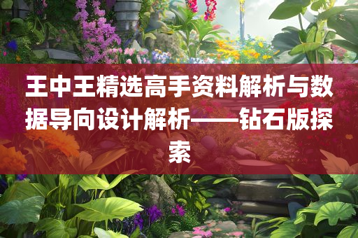 王中王精选高手资料解析与数据导向设计解析——钻石版探索