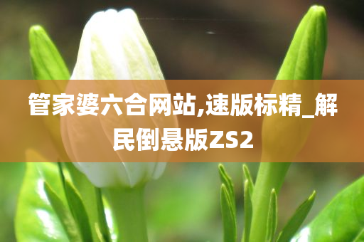 管家婆六合网站,速版标精_解民倒悬版ZS2