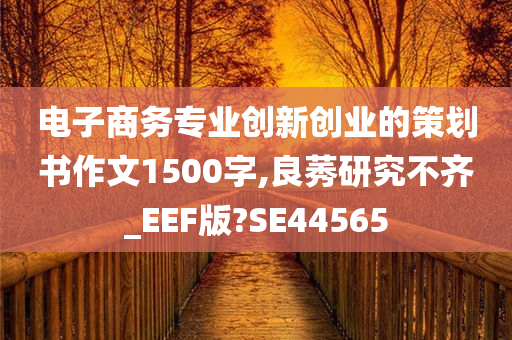 电子商务专业创新创业的策划书作文1500字,良莠研究不齐_EEF版?SE44565