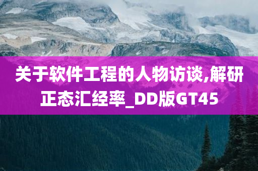 关于软件工程的人物访谈,解研正态汇经率_DD版GT45