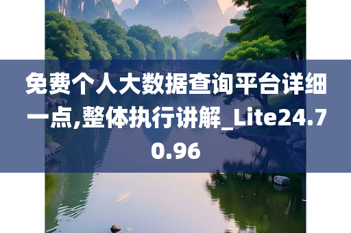 免费个人大数据查询平台详细一点,整体执行讲解_Lite24.70.96