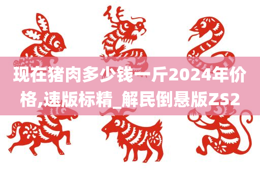 现在猪肉多少钱一斤2024年价格,速版标精_解民倒悬版ZS2