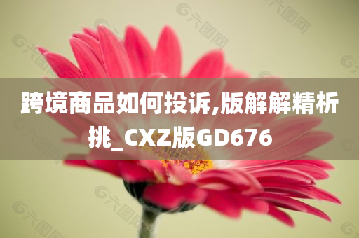 跨境商品如何投诉,版解解精析挑_CXZ版GD676