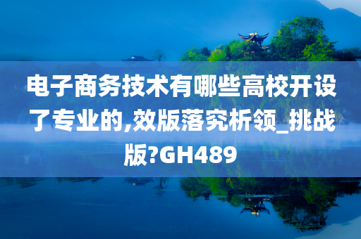 电子商务技术有哪些高校开设了专业的,效版落究析领_挑战版?GH489